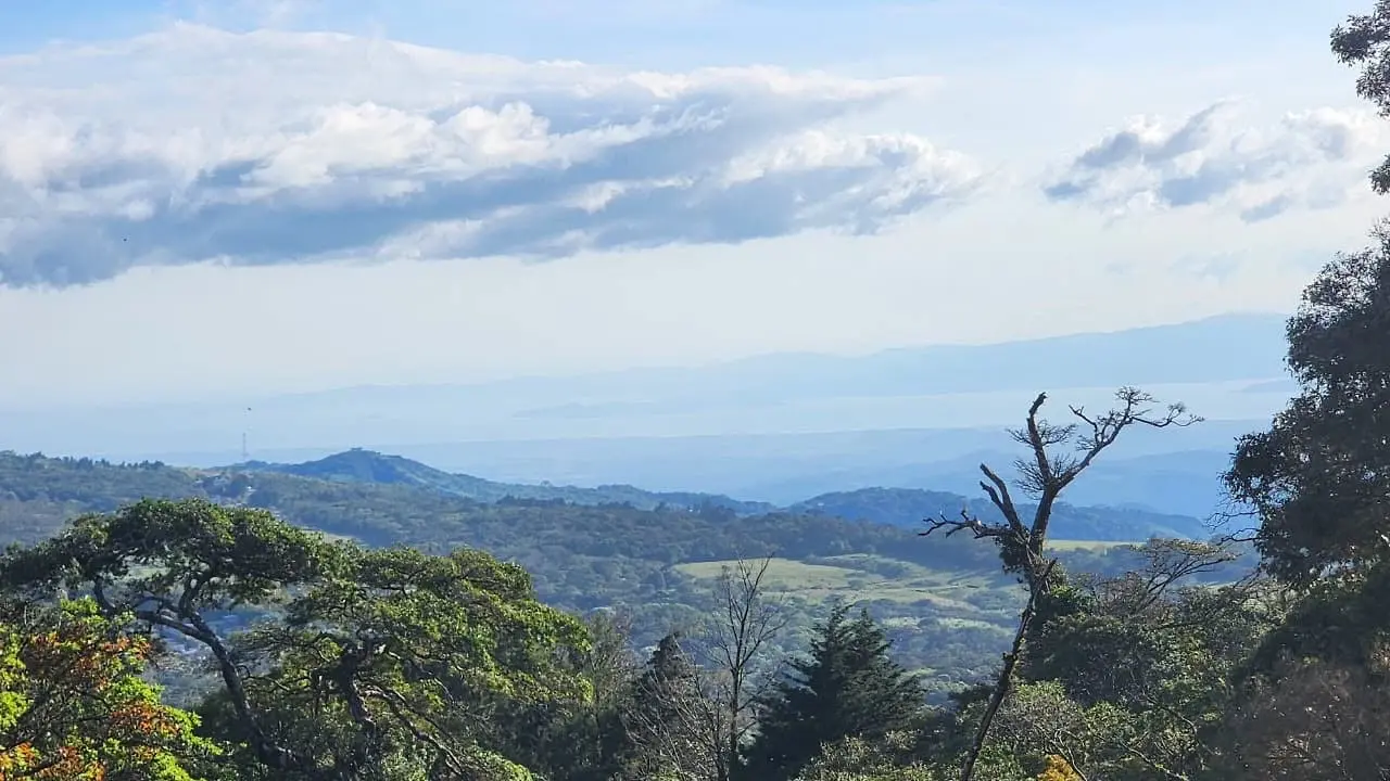 Guided tours through the Monteverde cloud forest at El Tesoro, Costa Rica