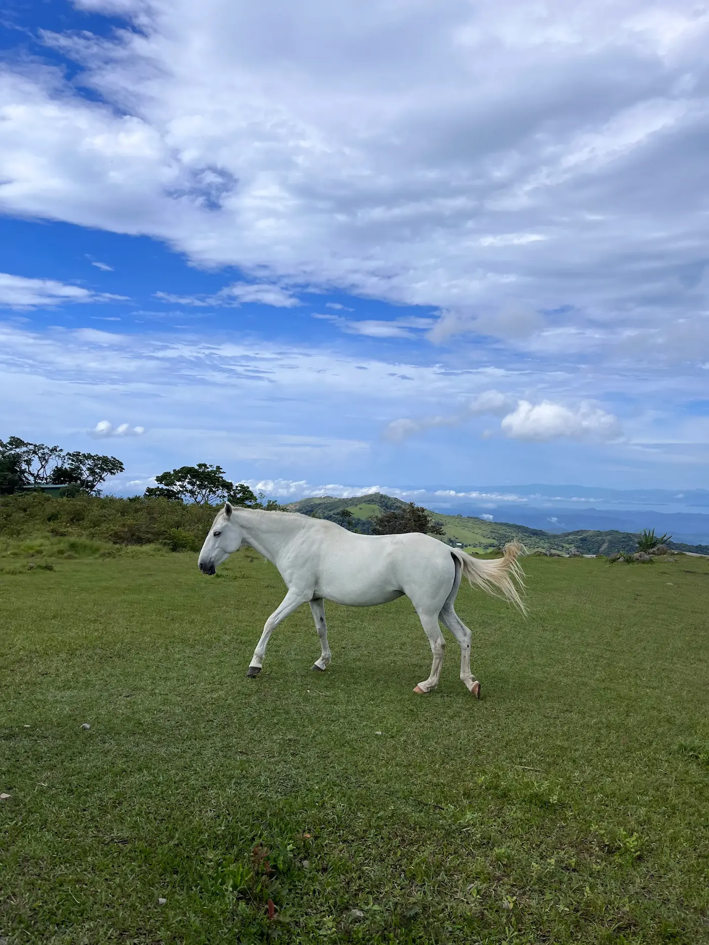Horseback riding through scenic trails at El Tesoro, Monteverde, Costa Rica