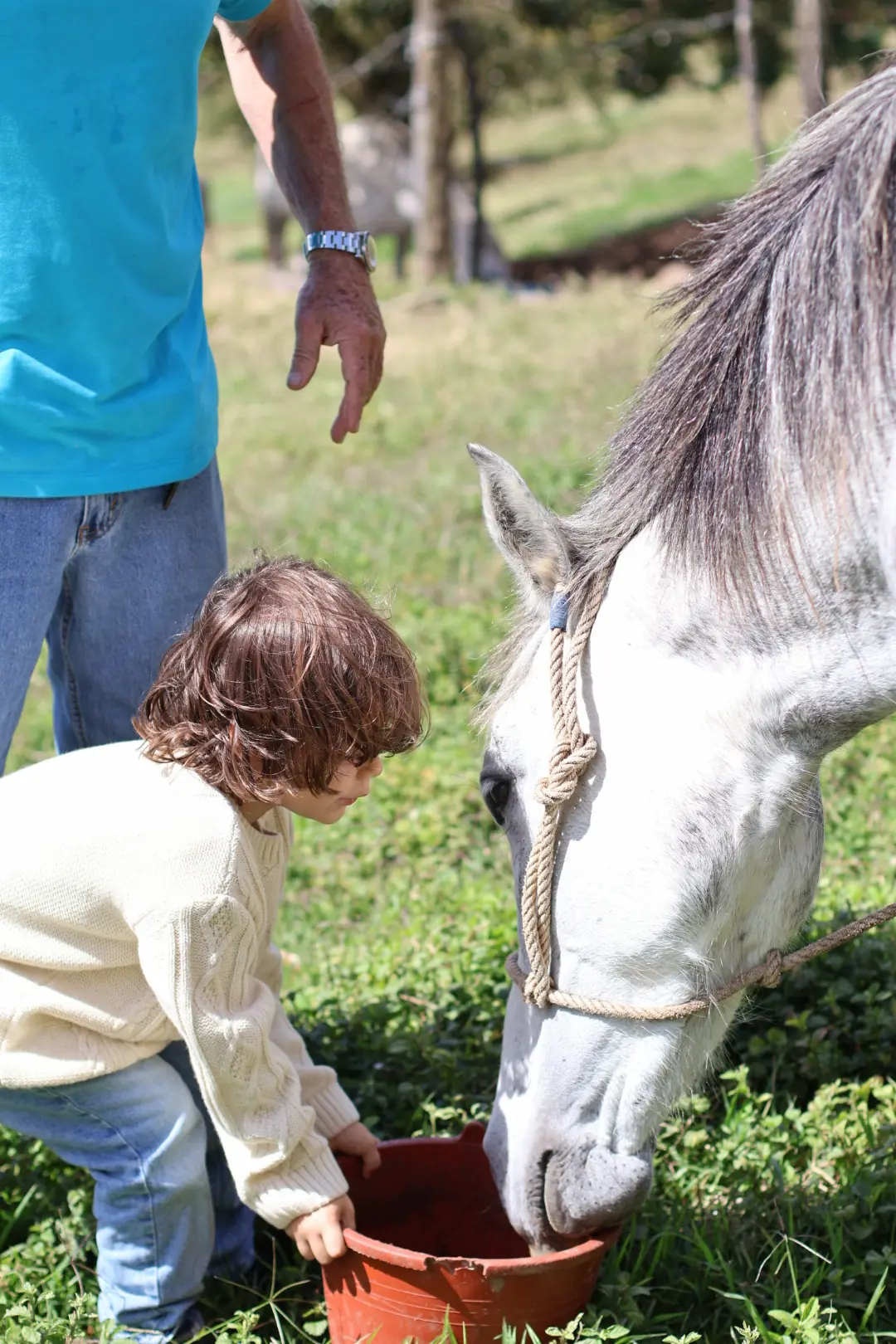 A family legacy in the heart of Monteverde, Costa Rica