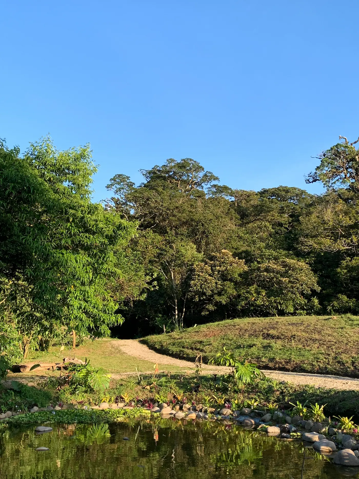 Carrying the legacy forward at El Tesoro, Monteverde, Costa Rica